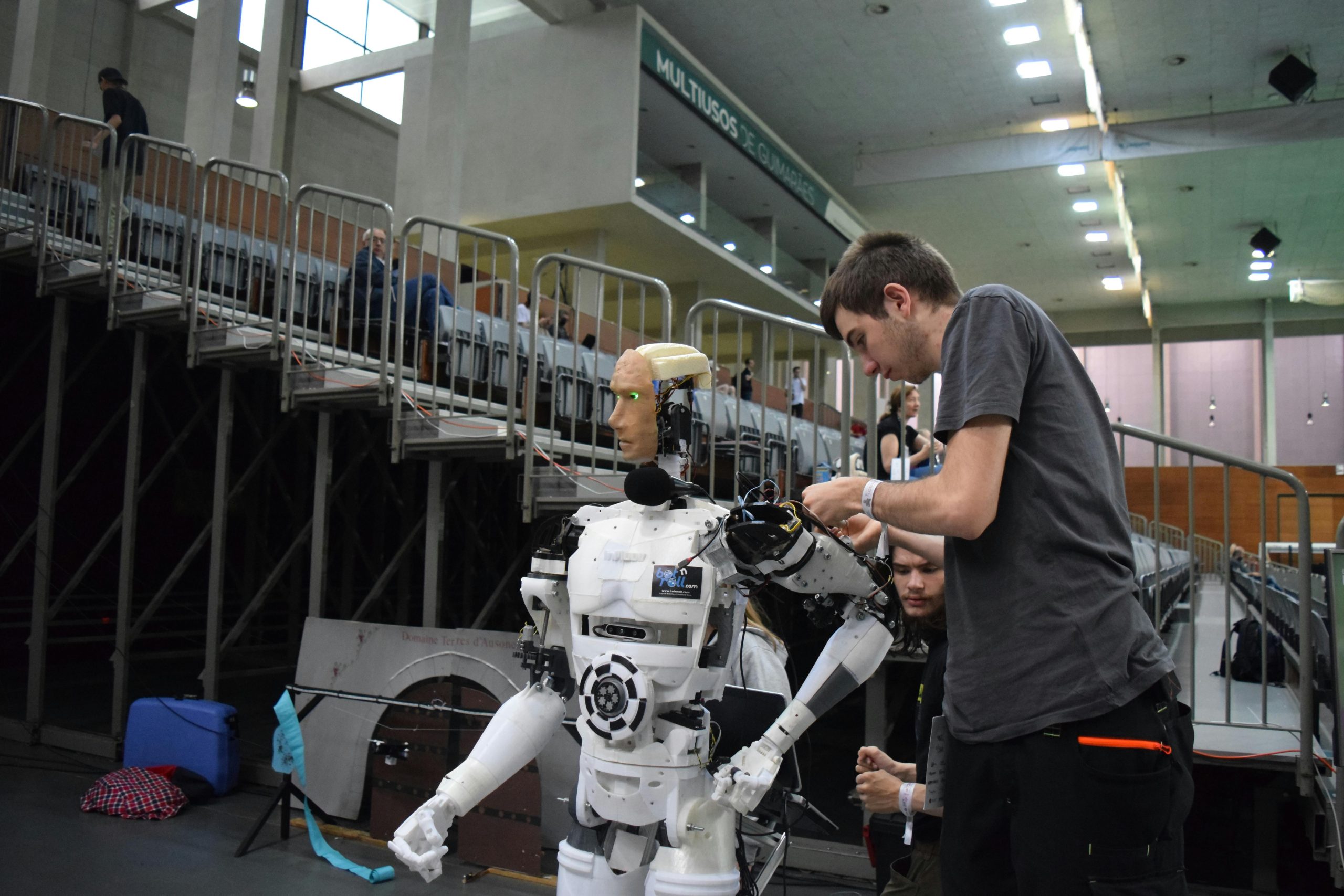 PROFESSIONAL AI & ML ENGINEER CERTIFICATION ASSESSMENT